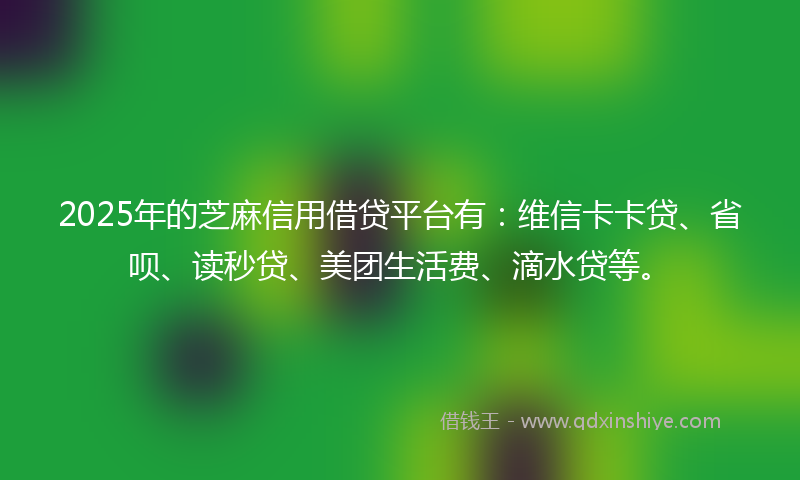 2025年的芝麻信用借贷平台有：维信卡卡贷、省呗、读秒贷、美团生活费、滴水贷等。