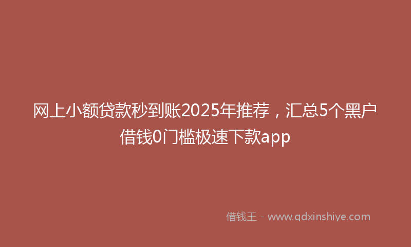 网上小额贷款秒到账2025年推荐，汇总5个黑户借钱0门槛极速下款app