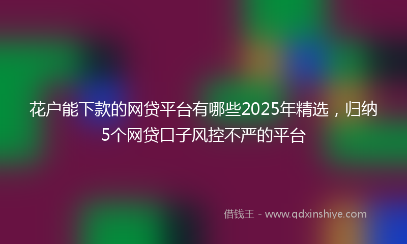 花户能下款的网贷平台有哪些2025年精选，归纳5个网贷口子风控不严的平台
