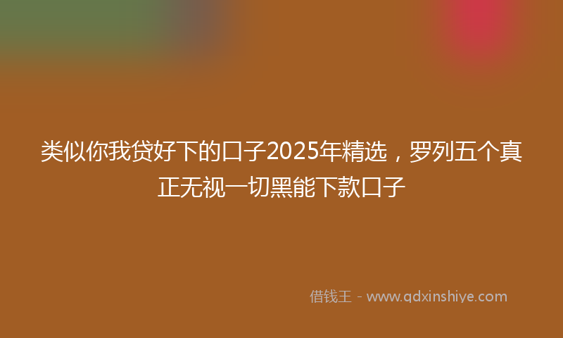 类似你我贷好下的口子2025年精选，罗列五个真正无视一切黑能下款口子