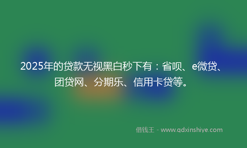 2025年的贷款无视黑白秒下有：省呗、e微贷、团贷网、分期乐、信用卡贷等。