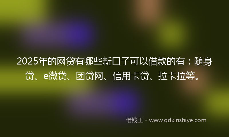 2025年的网贷有哪些新口子可以借款的有：随身贷、e微贷、团贷网、信用卡贷、拉卡拉等。