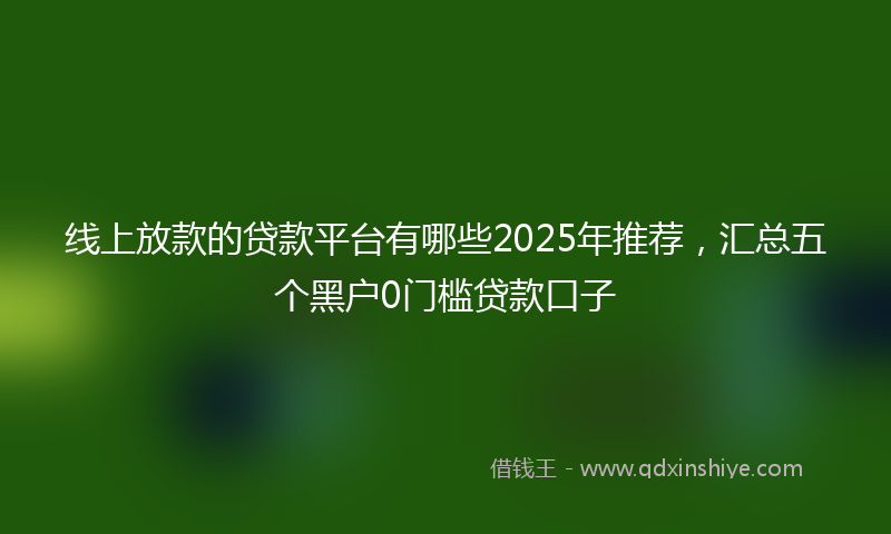 线上放款的贷款平台有哪些2025年推荐，汇总五个黑户0门槛贷款口子