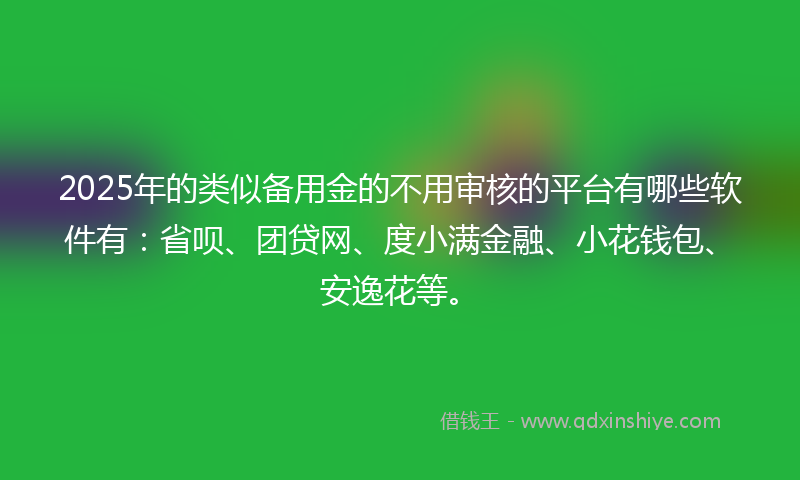 2025年的类似备用金的不用审核的平台有哪些软件有：省呗、团贷网、度小满金融、小花钱包、安逸花等。