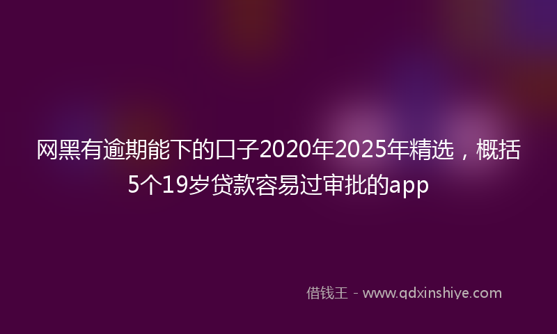 网黑有逾期能下的口子2020年2025年精选，概括5个19岁贷款容易过审批的app