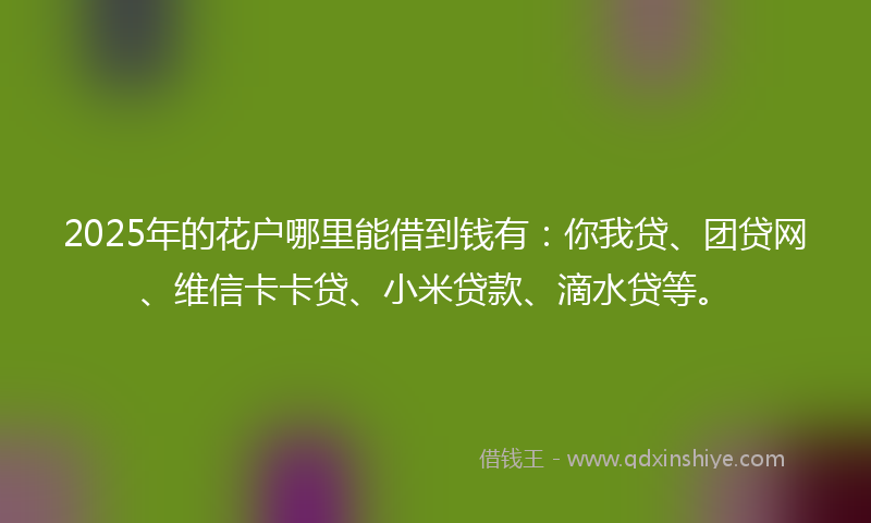 2025年的花户哪里能借到钱有：你我贷、团贷网、维信卡卡贷、小米贷款、滴水贷等。