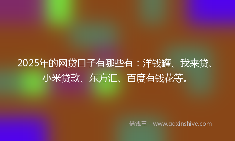 2025年的网贷口子有哪些有：洋钱罐、我来贷、小米贷款、东方汇、百度有钱花等。