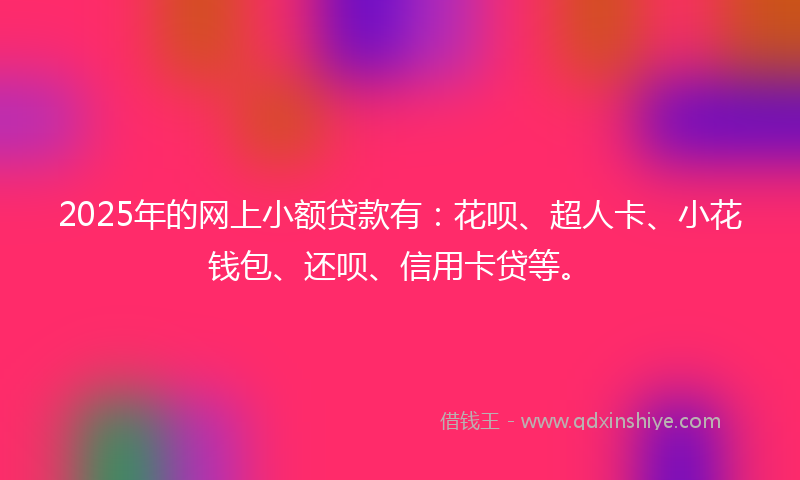 2025年的网上小额贷款有：花呗、超人卡、小花钱包、还呗、信用卡贷等。