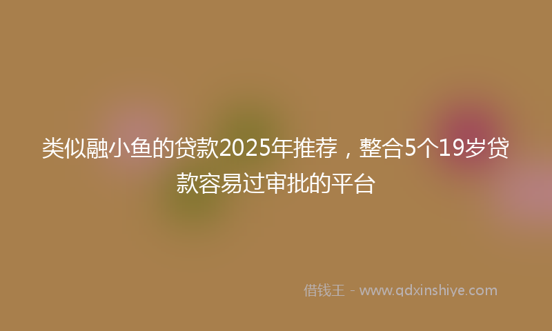 类似融小鱼的贷款2025年推荐，整合5个19岁贷款容易过审批的平台