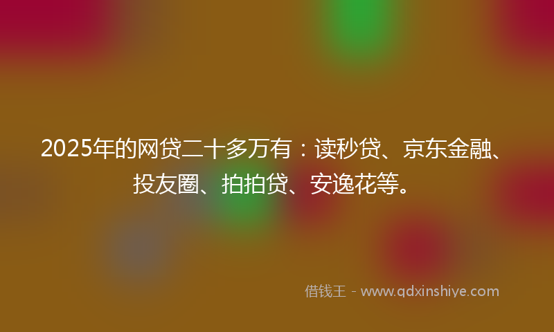 2025年的网贷二十多万有：读秒贷、京东金融、投友圈、拍拍贷、安逸花等。
