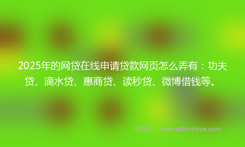 2025年的网贷在线申请贷款网页怎么弄有：功夫贷、滴水贷、惠商贷、读秒贷、微博借钱等。