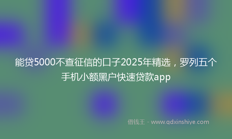 能贷5000不查征信的口子2025年精选，罗列五个手机小额黑户快速贷款app