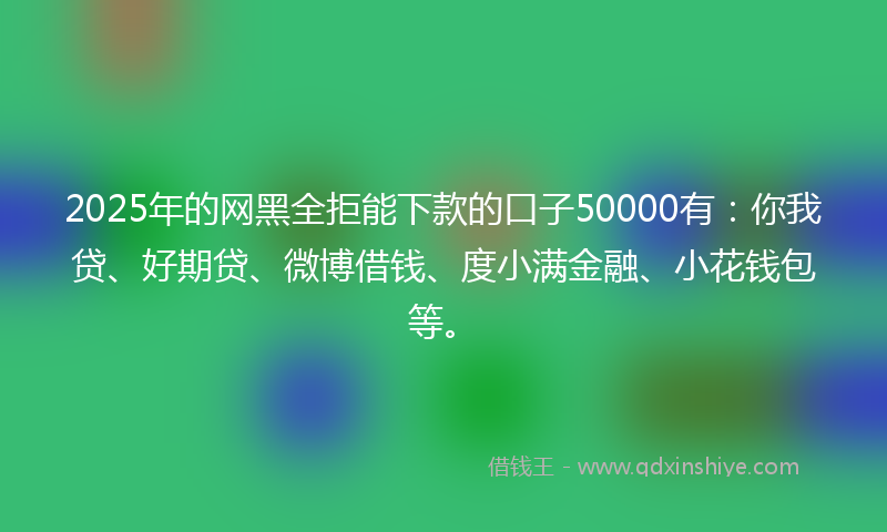 2025年的网黑全拒能下款的口子50000有：你我贷、好期贷、微博借钱、度小满金融、小花钱包等。
