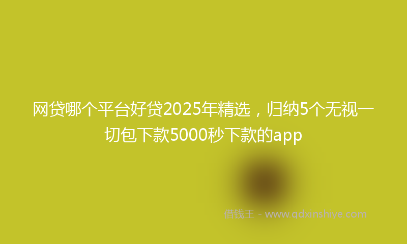 网贷哪个平台好贷2025年精选，归纳5个无视一切包下款5000秒下款的app