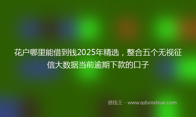 花户哪里能借到钱2025年精选，整合五个无视征信大数据当前逾期下款的口子