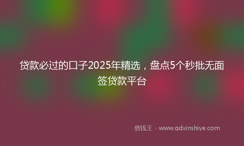 贷款必过的口子2025年精选，盘点5个秒批无面签贷款平台
