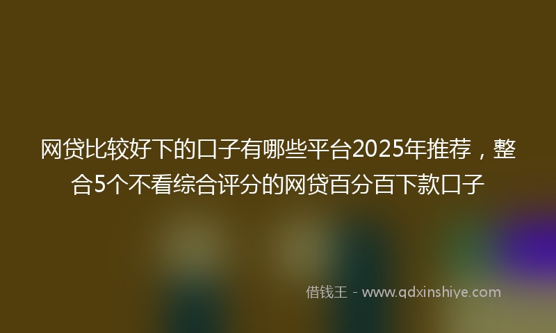 网贷比较好下的口子有哪些平台2025年推荐，整合5个不看综合评分的网贷百分百下款口子