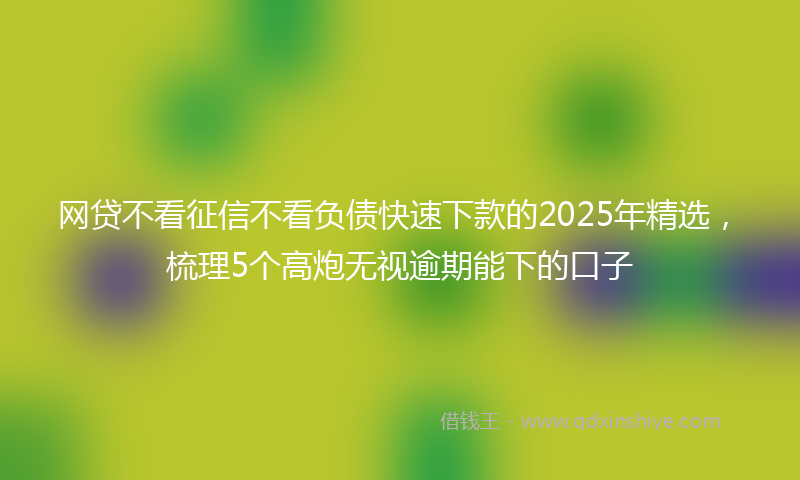 网贷不看征信不看负债快速下款的2025年精选，梳理5个高炮无视逾期能下的口子