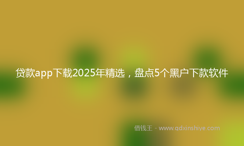贷款app下载2025年精选，盘点5个黑户下款软件