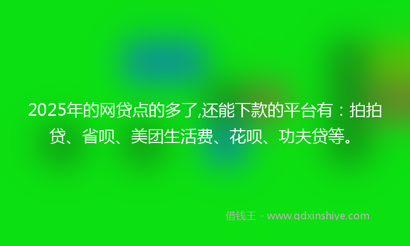 2025年的网贷点的多了,还能下款的平台有：拍拍贷、省呗、美团生活费、花呗、功夫贷等。