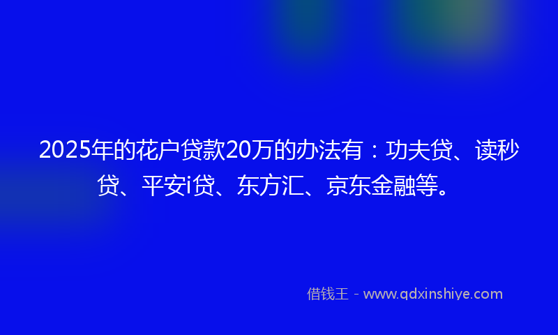 2025年的花户贷款20万的办法有：功夫贷、读秒贷、平安i贷、东方汇、京东金融等。