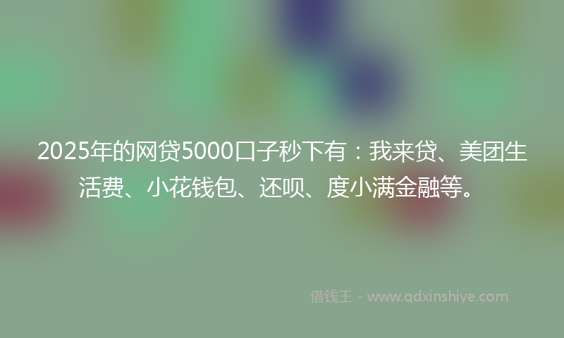 2025年的网贷5000口子秒下有：我来贷、美团生活费、小花钱包、还呗、度小满金融等。