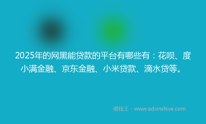 2025年的网黑能贷款的平台有哪些有：花呗、度小满金融、京东金融、小米贷款、滴水贷等。