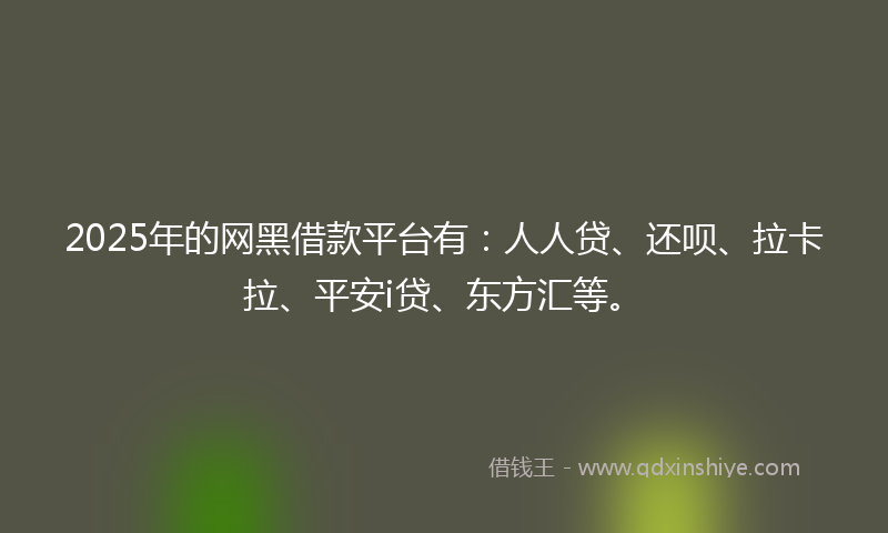 2025年的网黑借款平台有：人人贷、还呗、拉卡拉、平安i贷、东方汇等。