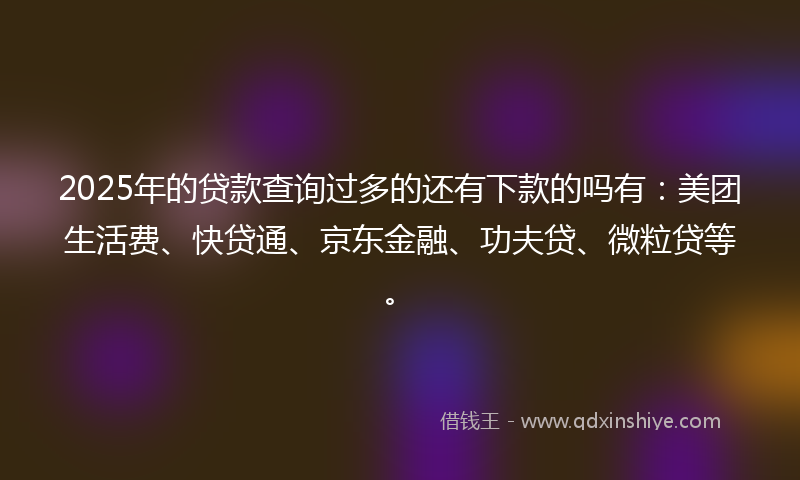 2025年的贷款查询过多的还有下款的吗有：美团生活费、快贷通、京东金融、功夫贷、微粒贷等。