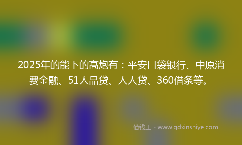 2025年的能下的高炮有：平安口袋银行、中原消费金融、51人品贷、人人贷、360借条等。