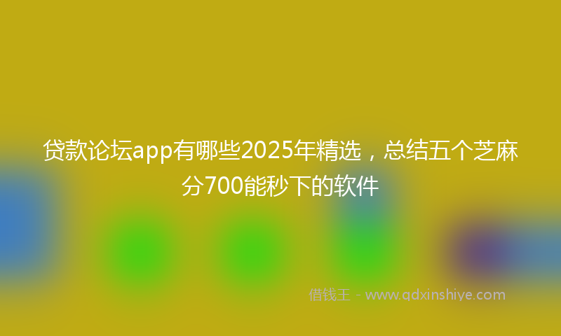 贷款论坛app有哪些2025年精选，总结五个芝麻分700能秒下的软件