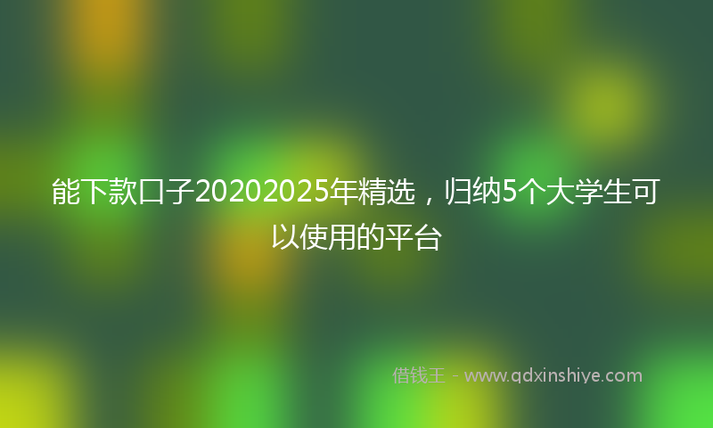 能下款口子20202025年精选，归纳5个大学生可以使用的平台