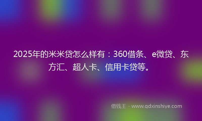 2025年的米米贷怎么样有：360借条、e微贷、东方汇、超人卡、信用卡贷等。