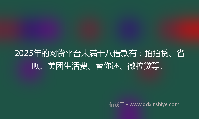 2025年的网贷平台未满十八借款有：拍拍贷、省呗、美团生活费、替你还、微粒贷等。