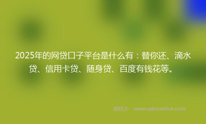 2025年的网贷口子平台是什么有：替你还、滴水贷、信用卡贷、随身贷、百度有钱花等。