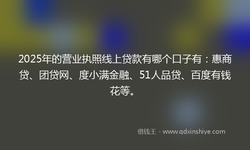2025年的营业执照线上贷款有哪个口子有：惠商贷、团贷网、度小满金融、51人品贷、百度有钱花等。
