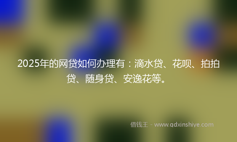 2025年的网贷如何办理有：滴水贷、花呗、拍拍贷、随身贷、安逸花等。