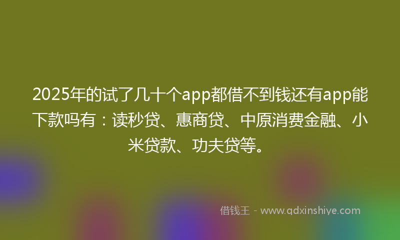 2025年的试了几十个app都借不到钱还有app能下款吗有：读秒贷、惠商贷、中原消费金融、小米贷款、功夫贷等。