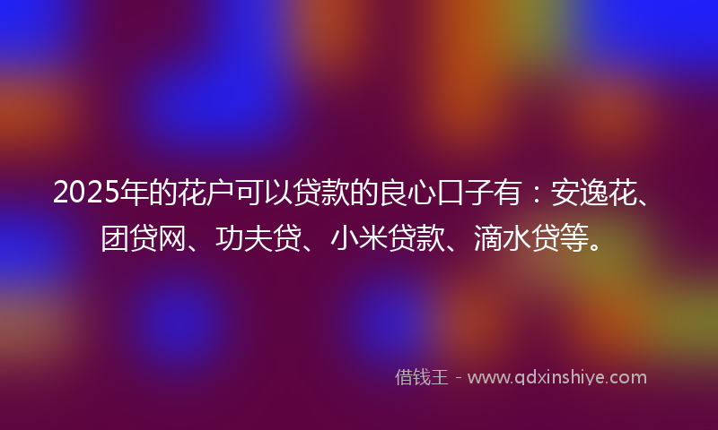 2025年的花户可以贷款的良心口子有：安逸花、团贷网、功夫贷、小米贷款、滴水贷等。
