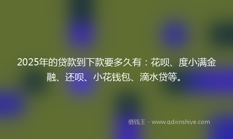 2025年的贷款到下款要多久有：花呗、度小满金融、还呗、小花钱包、滴水贷等。