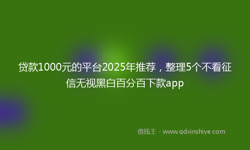 贷款1000元的平台2025年推荐，整理5个不看征信无视黑白百分百下款app