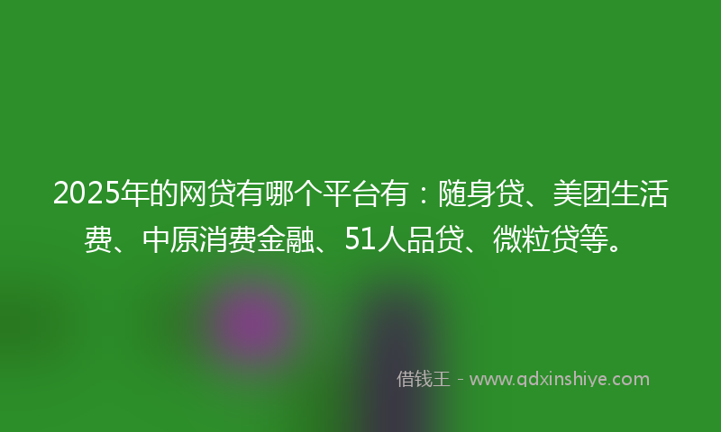 2025年的网贷有哪个平台有：随身贷、美团生活费、中原消费金融、51人品贷、微粒贷等。