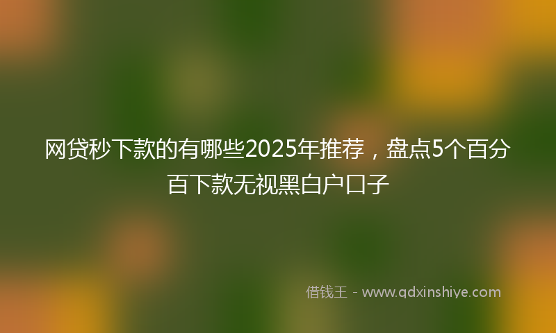 网贷秒下款的有哪些2025年推荐，盘点5个百分百下款无视黑白户口子