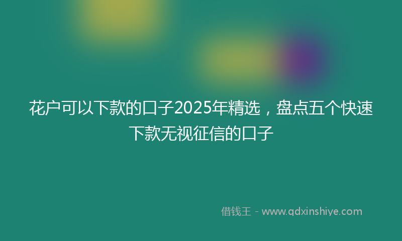 花户可以下款的口子2025年精选，盘点五个快速下款无视征信的口子