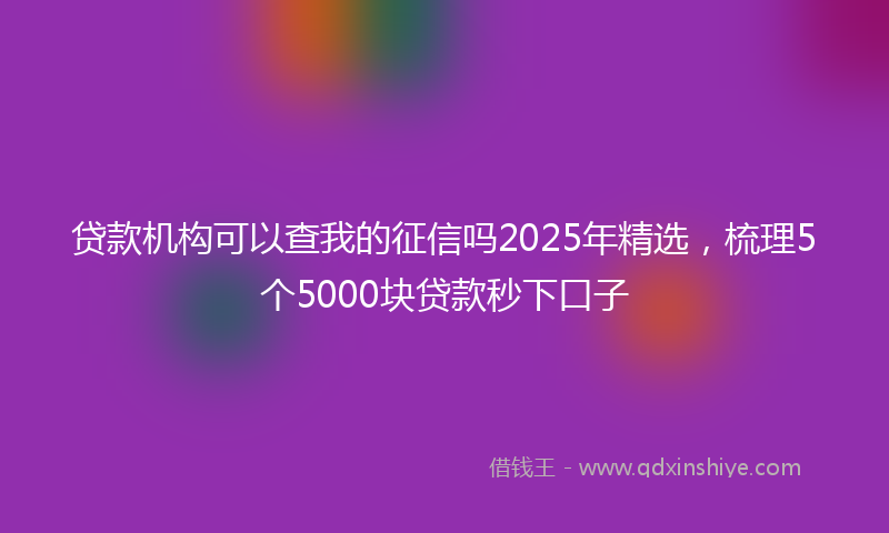 贷款机构可以查我的征信吗2025年精选，梳理5个5000块贷款秒下口子