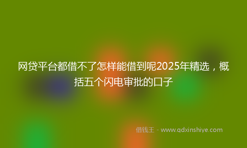 网贷平台都借不了怎样能借到呢2025年精选，概括五个闪电审批的口子