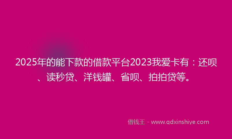 2025年的能下款的借款平台2023我爱卡有：还呗、读秒贷、洋钱罐、省呗、拍拍贷等。