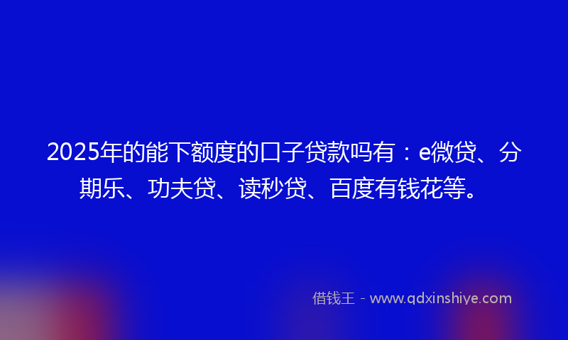 2025年的能下额度的口子贷款吗有：e微贷、分期乐、功夫贷、读秒贷、百度有钱花等。
