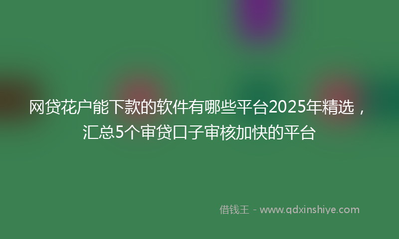 网贷花户能下款的软件有哪些平台2025年精选，汇总5个审贷口子审核加快的平台