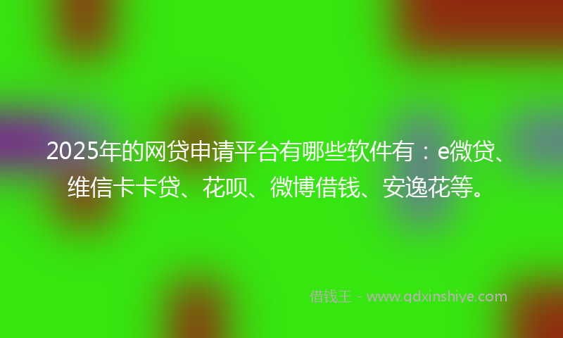 2025年的网贷申请平台有哪些软件有：e微贷、维信卡卡贷、花呗、微博借钱、安逸花等。